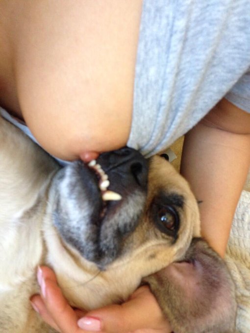 It's not bestiality if they're not being penetrated http://t.co/TW9dFBFK8L