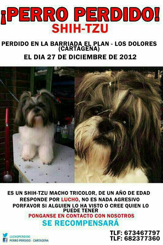 luchoperdido's tweet photo. http://t.co/WB41EIV3xe
