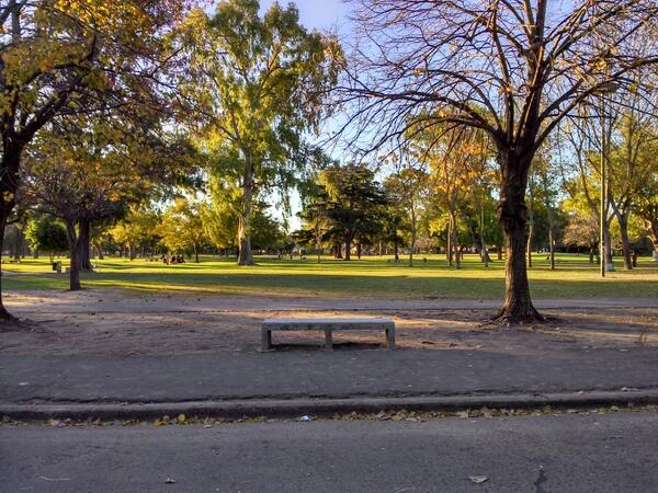 peladolopezok's tweet photo. Desayuno en @adaggiosaavedra mirando el parque... ahora a martinez!! http://t.co/g46F5UWGno