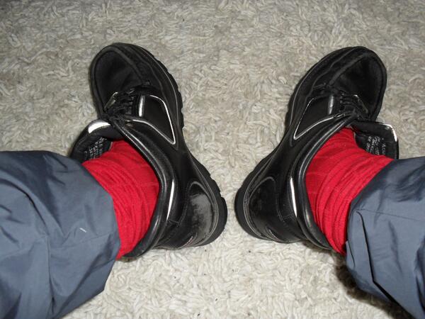 jake_socks's tweet photo. @2wirrallads :-) http://t.co/ibUfb7Lldc