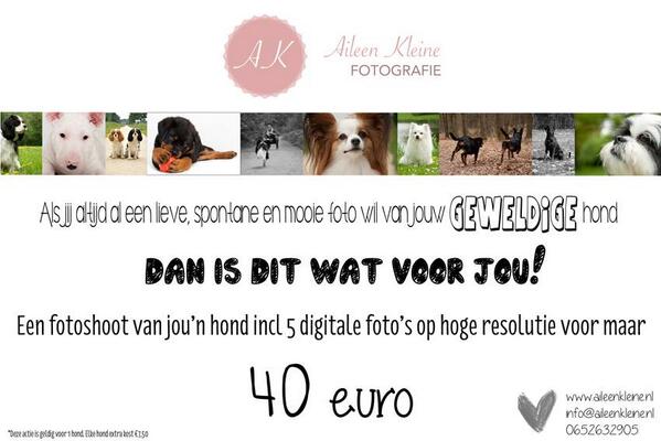 Altijd al mooie proffesionele foto's van jouw hond willen hebben voor een aantrekkelijke prijs? Dan is dit de kans!!