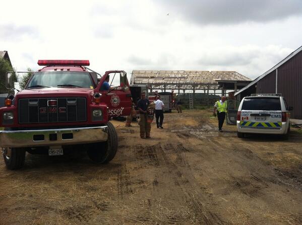 View image on Twitter