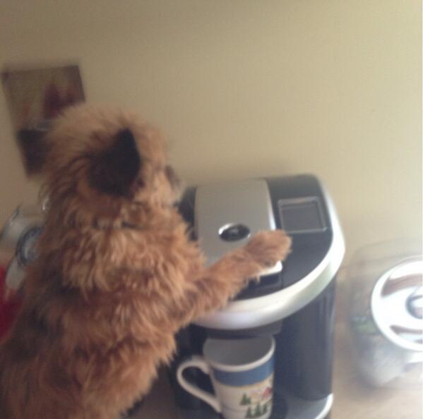 DogsInPlaces's tweet image. Making coffee