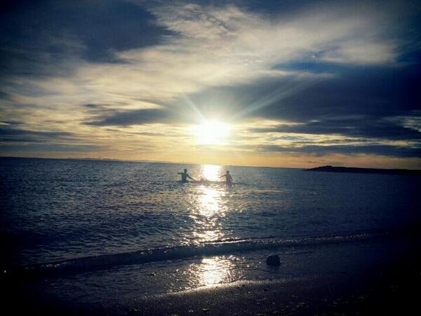 Collegamento permanente dell'immagine integrata