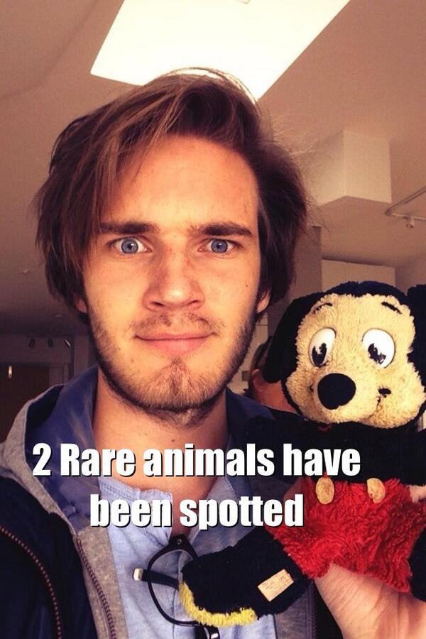 nycaranle's tweet image. Rare duck and mouse