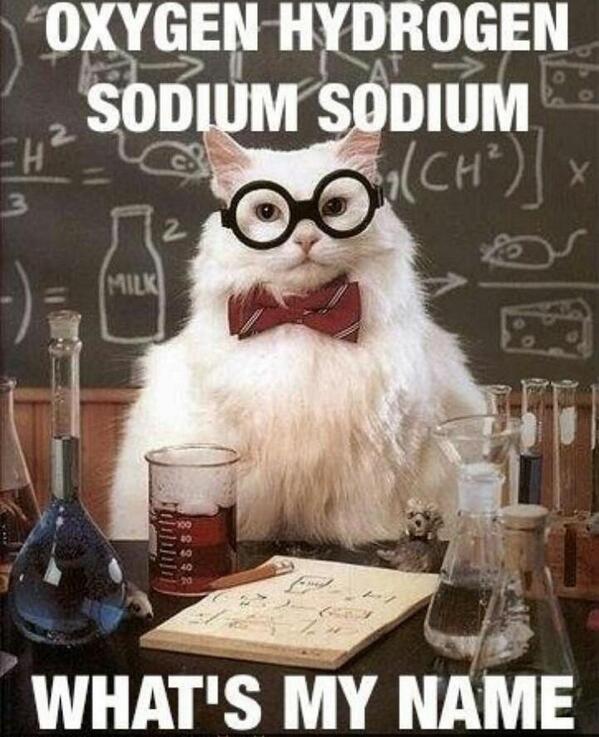 The smartest <a href="/Chemistry_cat_/">Chemistry Cat</a> meme EVER! Get it? ;-)