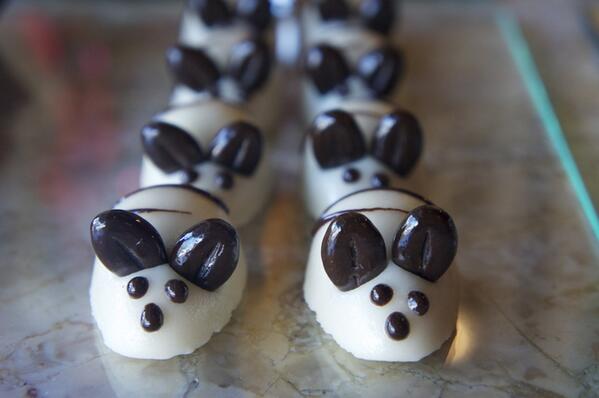 ChocolateMaya1's tweet photo. http://t.co/tL9b7VELw3