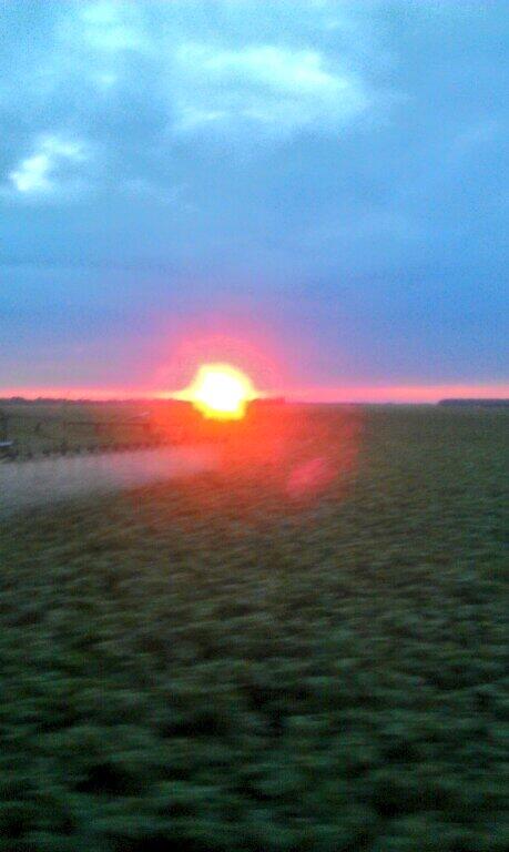 riksteenge's tweet image. Dag zon tot morgen