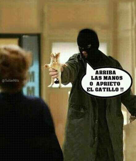 Los Mejores Tweets ™ tweet media