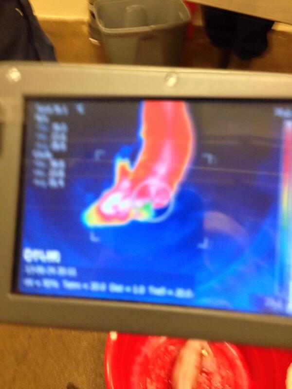 SwineMed's tweet photo. Currently developing some new tools to determine piglet stress during processing http://t.co/5hfIqfmXJm