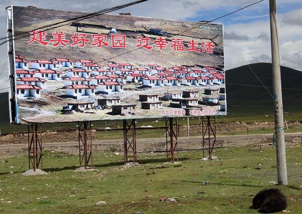 人权观察hrw Chinese 他们说我们应该感恩 中国藏族地区的大规模迁移和住房改造方案 报告的封面图 一面宣扬 社会主义新农村 的看板 摄于四川省石渠县 C 11 茨仁唯色
