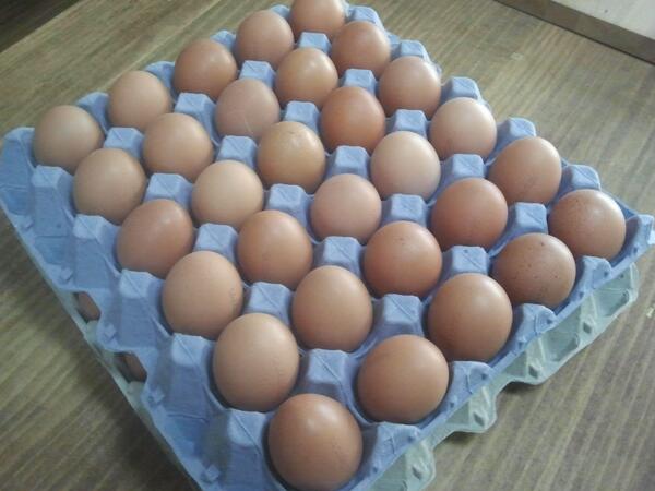 Can Balasch tweet media