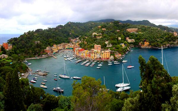 SailProApp's tweet image. 