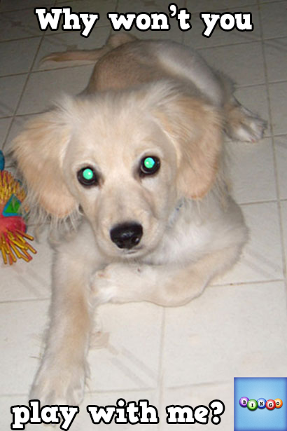 Lady Precious tweet media