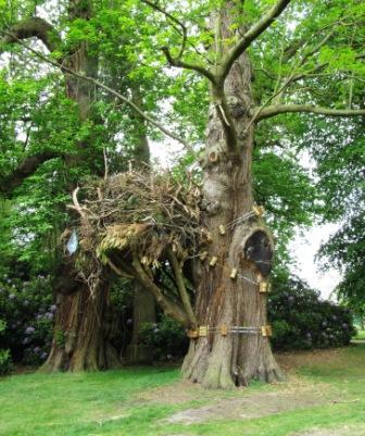 hilary jack tweet media