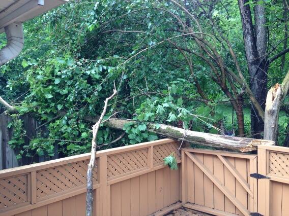 wusays's tweet image. looks like this will be staying there for a long time #wutangproblems