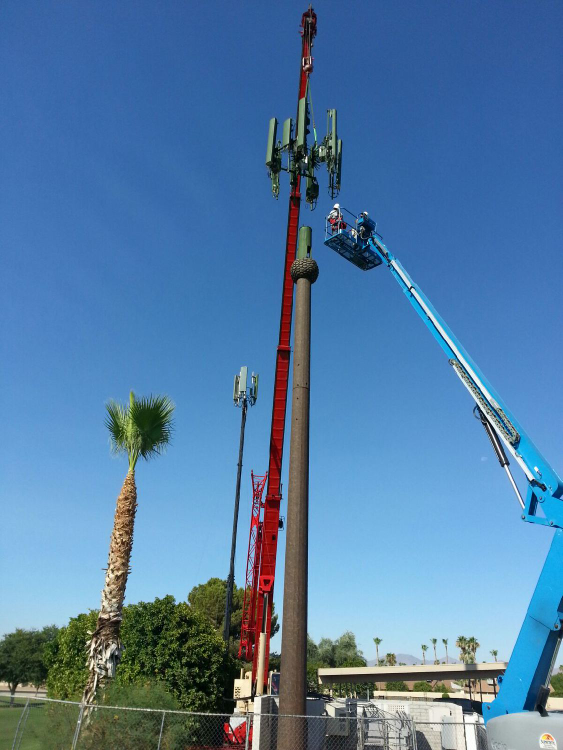 comtechglobal's tweet image. Comtech Global installing a tower Palm in Sun City West, AZ