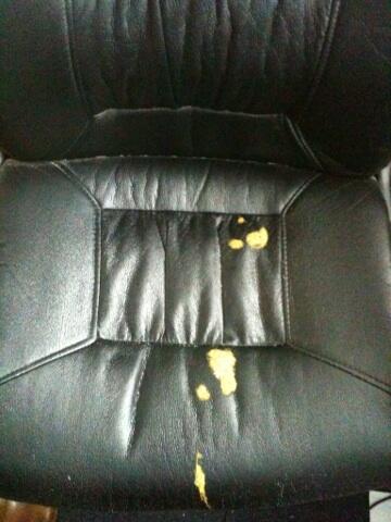 Life_of_Stumpy's tweet image. Nice little present for the humans! It's sick not poo, honest