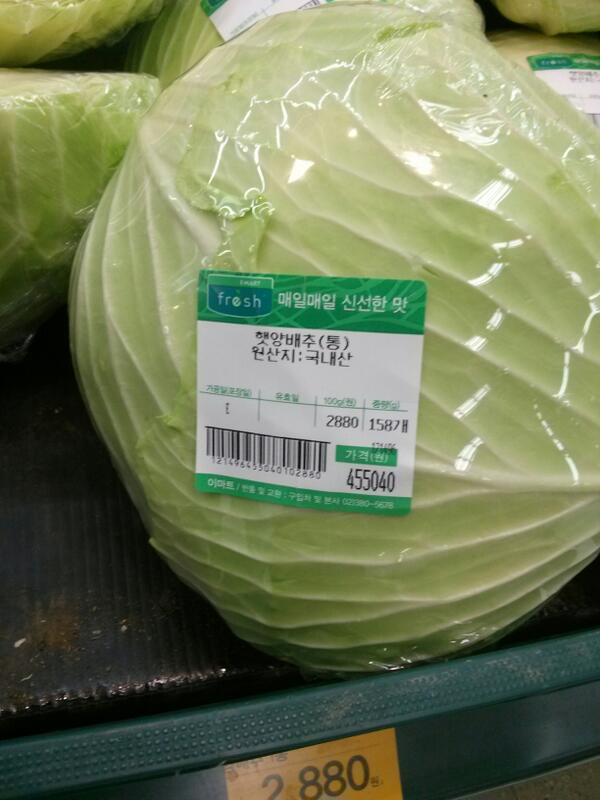 아니 이게 얼마짜리 양배추야! 신선한 코울슬로를 만들기 위해 양배추를 사다가 발견한 황금 양배추!