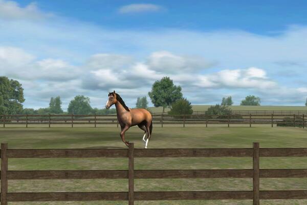 razt182's tweet photo. Mira mi foto! Add me, Razt. #MyHorse http://t.co/V0Xdms7CAR http://t.co/QcVXLg5bFf