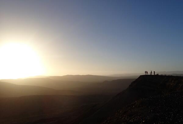 tomoko okazaki tweet media