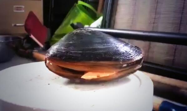 okreallystop's tweet image. when they lick their lips seductively....mmm