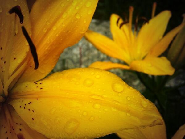 badabalam tweet picture
