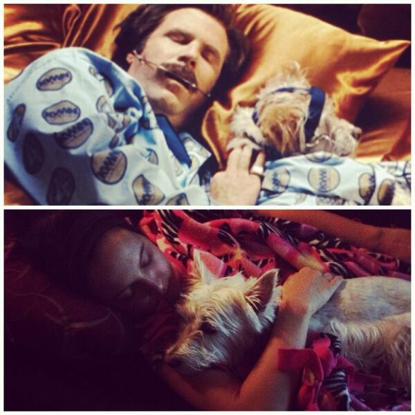 Hanna Raj tweet media