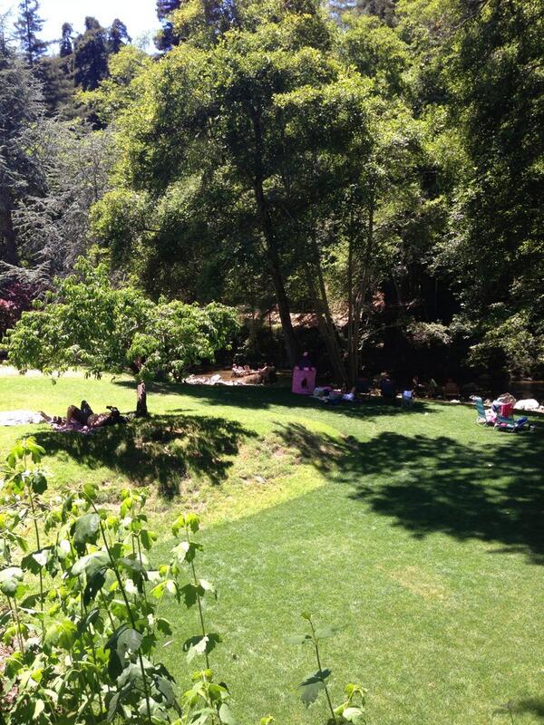 Beautiful summer day at the Big Sur River   Inn #bigsurriverinn