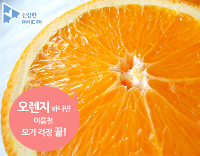 여름철 모기와의 전쟁! 오렌지 껍질로 해결하세요^^ 오렌지 껍질을 동그랗게 반으로 자르고~ 꼭지에 있는 심지 부분이 충분히 젖도록 식용유를 부어준 다음~ 심지에 불을 붙여주면! 천연 모기퇴치제가 완성된답니다^^