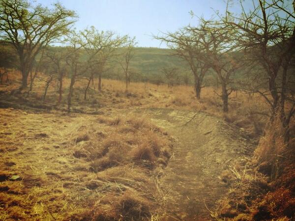 We have built a series of berms at the bottom of Spioenkop!hope you all have an absolute jol riding them this year!