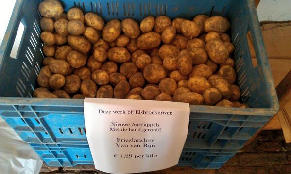 Nieuwe Aardappels Frieslanders € 1,29 / kilo nu bij elsbroekerwei