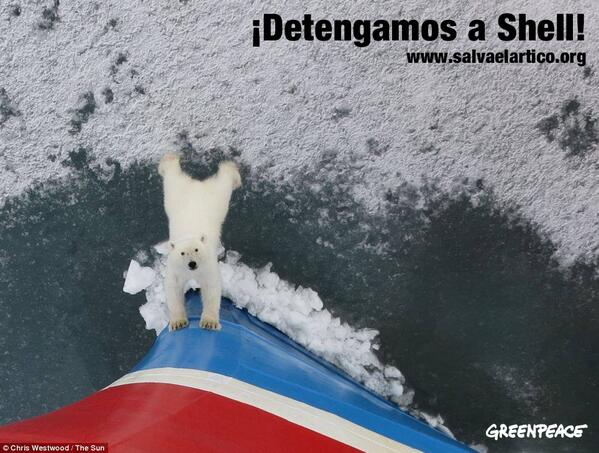GreenpeaceArg's tweet photo. ¡Detené a las petroleras que quieren destruir el Ártico! Entrá ahora en http://t.co/53gZvrtcVT #ArcticSHell http://t.co/rhWdFzfTb9