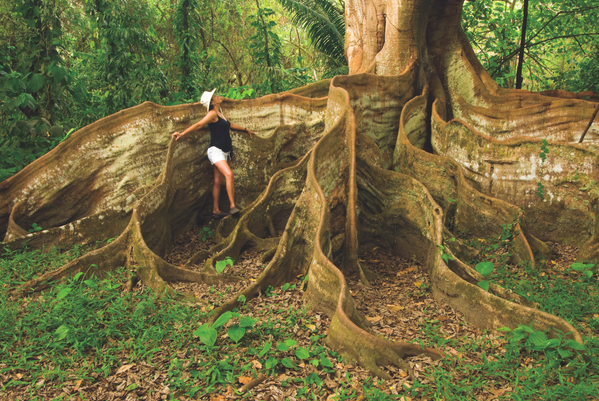 Visit_CostaRica tweet picture