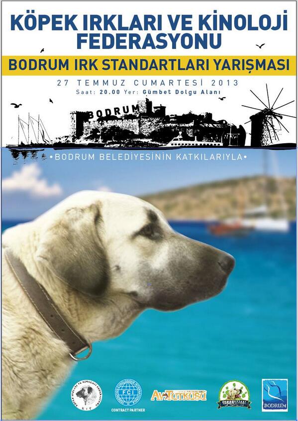 kif.org.tr/index.php?p=ha… Bodrum kayıtları açılmıştır. Online kayıt bölümünden kayıt yapabilirsiniz.