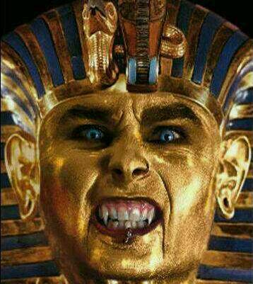 Excuse me send photos @dani_filth1