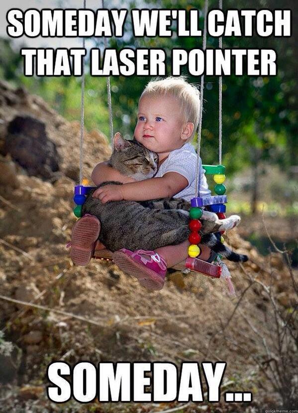 GOT_MEMESS's tweet photo. Laser pointer. http://t.co/5KHusJfLrF