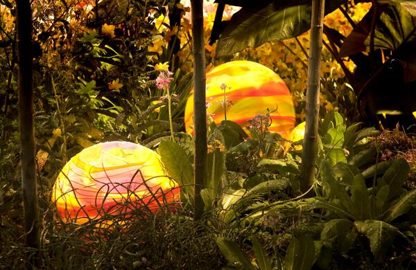 TheOutdoorLights tweet media