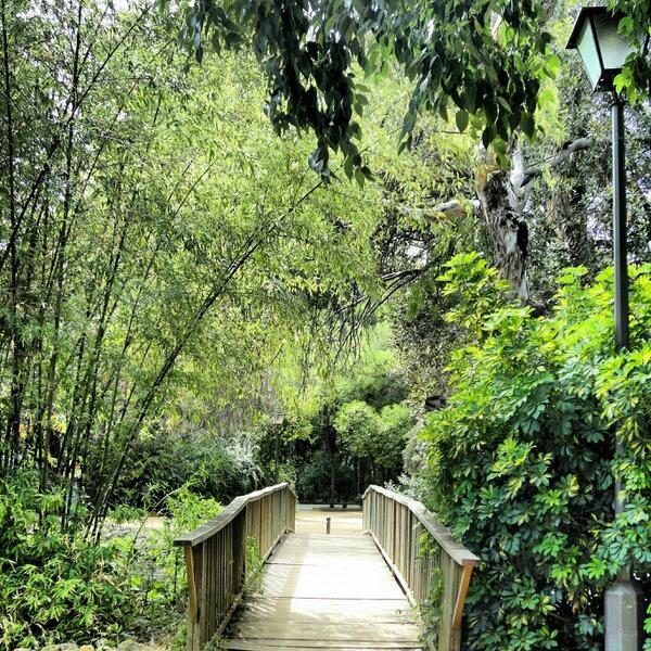 Have a very special day! #Spain #travel #traveling #Tourism #turismo #turista #precioso #pic #photo #nice #Sevilla