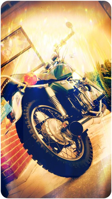 Heartbroken... RIP...MY BEAUTIFUL LADY! http://t.co/lo1FLkzJAi