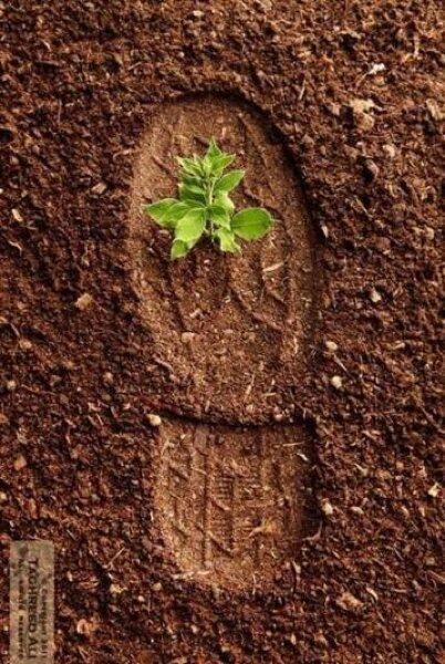 z_zeii's tweet photo. هناك من رحل ...لكنه ترك بذرة انبتت نباتا حسنا كن كذلك ولا ترحل دونما ان تترك خلفك نبتة طيبة واثرا حسن. http://t.co/qW08OCK6Ru