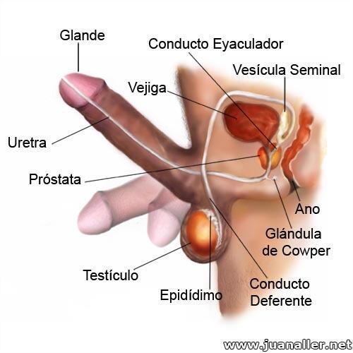 LadyOrgasmic's tweet photo. la teoria chicos :* http://t.co/5sUCRsShQu