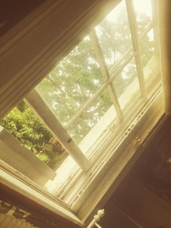 It's all about fresh air first thing in the morning. You're welcome lungs. YOU ARE WELCOME!