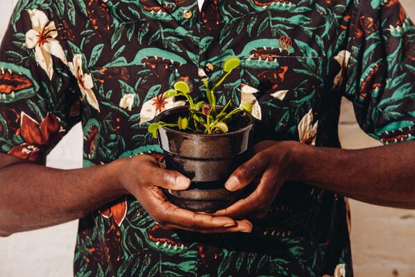 CVNVAS's tweet image. #10Deep 2013 Summer “Lord of the Flies" Collection Lookbook :: cvnvas.tumblr.com/post/551497293…