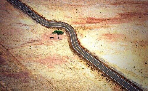 BO45dM4CcAAfQte.jpg:large