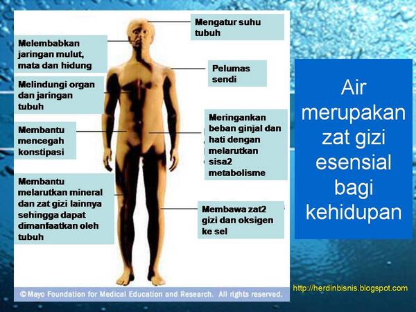GOBIODISC tweet media
