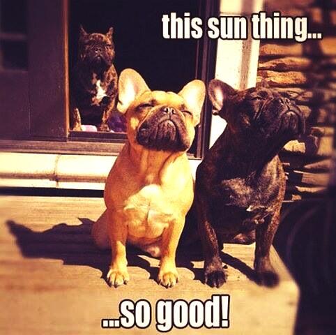 LindaOsullivan6's tweet image. Another sunny day!!!😎☀ #getmeoutoftheoffice #excitedfortheweekend