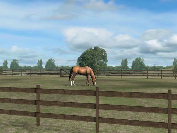 Check out Beauty! Add me, NeedyJoker393. #MyHorse nmgam.es/horse_twittermb uujtry