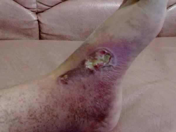 GOBIODISC tweet media