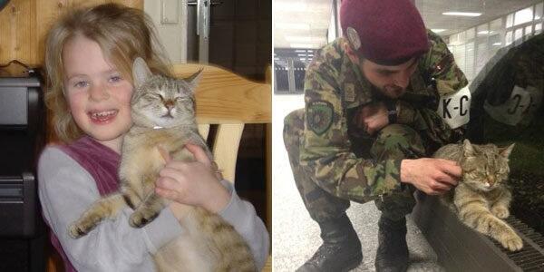 lorenajimenezc's tweet image. «Le brigadier Broccoli, c&apos;est notre chat!» 20min.ch/ro/news/suisse…
